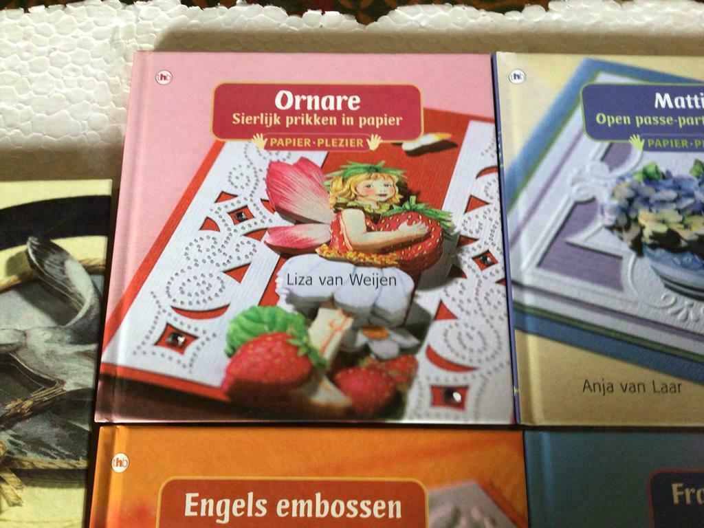 Plaisir de papier (f), Livres, Enlèvement ou Envoi, Comme neuf, Scrapbooking et Bricolage, Convient aux enfants