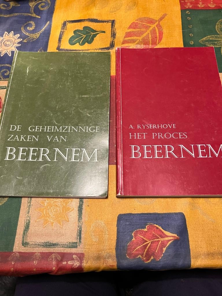 2 boeken over de geheimzinnige zaken van Beernem/ Het proces, Enlèvement ou Envoi, Utilisé, A. Ryserhove, 20e siècle ou après