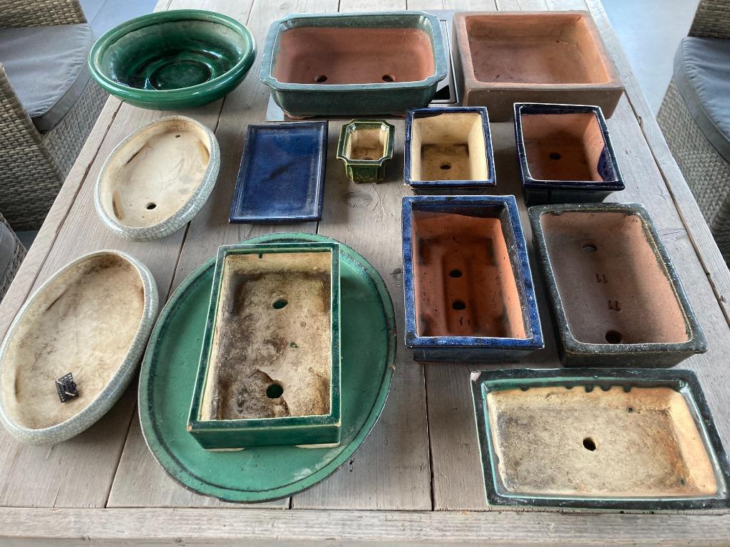 Mooi assortiment bonzai potjes/schalen. Voor de liefhebber!, Gebruikt, Minder dan 40 cm, Balkon, Overige vormen