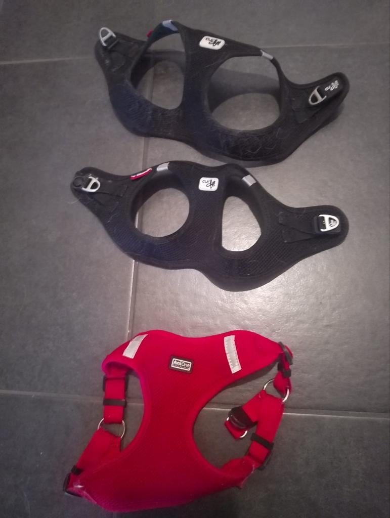 Honden accessoires, Dieren en Toebehoren, Ophalen