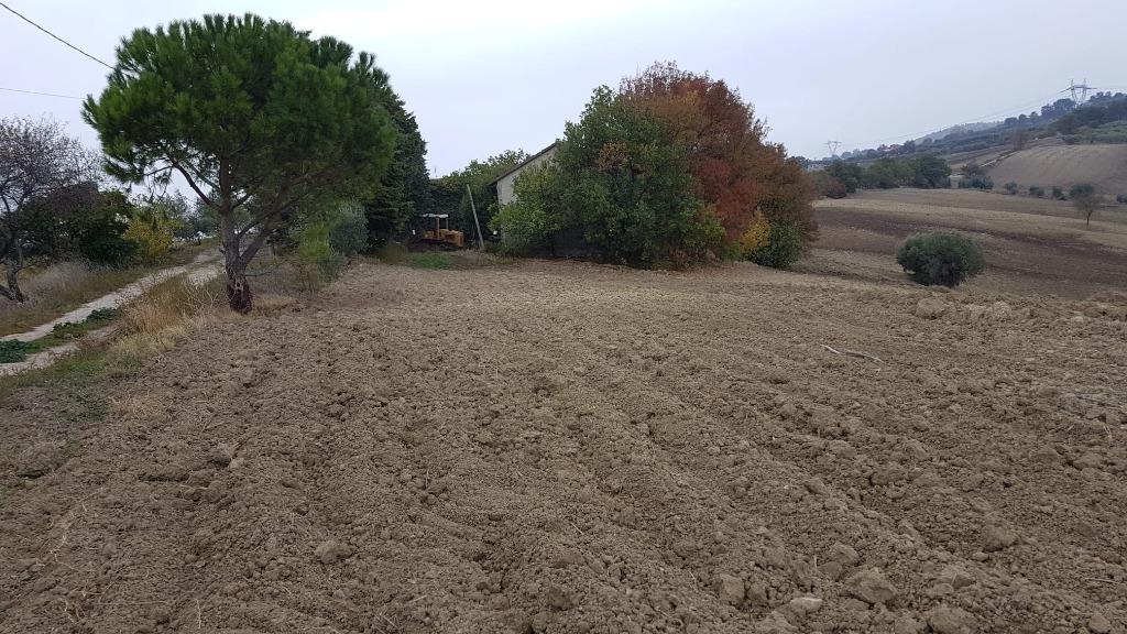 11 HECTARES DE TERRAIN À VENDRE EN ITALIE, 11000 m², Campagne, Molise, Italie, Italie