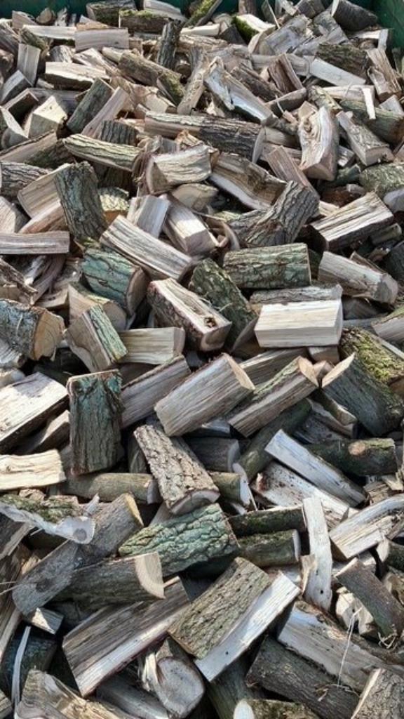 Brandhout te koop - gratis levering, Jardin & Terrasse, Bois de chauffage, Chêne, Enlèvement ou Envoi
