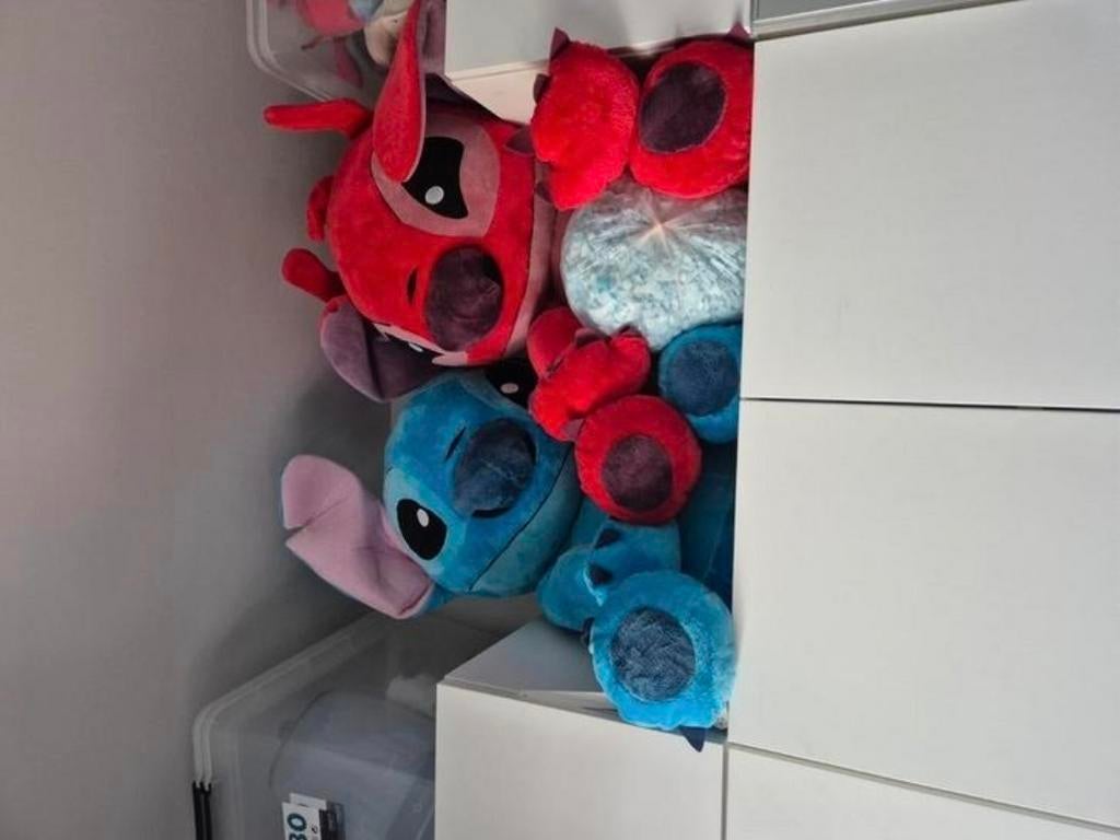 Lillo en stitch, Enlèvement