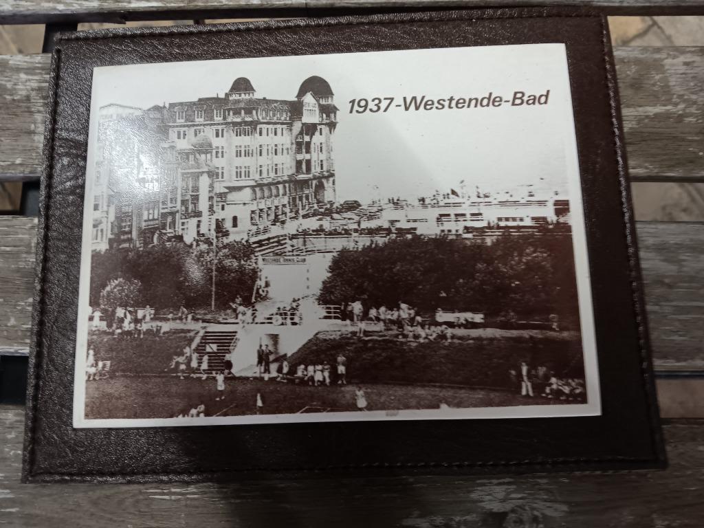 Stenen tegel Westende Bad, Ophalen of Verzenden, Gebruikt, Overige typen
