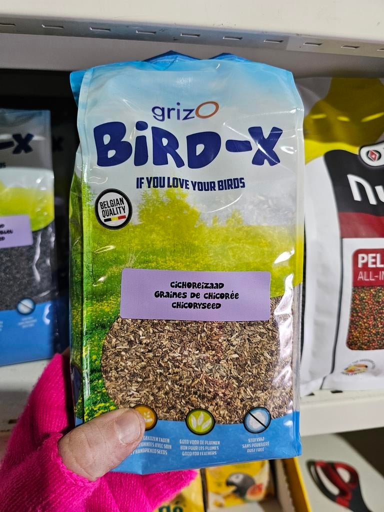 Graines de chicorée 600 grammes - Bird-X Grizo, Animaux & Accessoires, Enlèvement