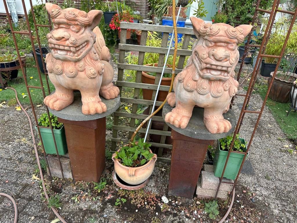 3 grote zware terracotta leeuwen, Tuin en Terras, Tuinbeelden, Ophalen, Gebruikt, Overige materialen, Dierenbeeld