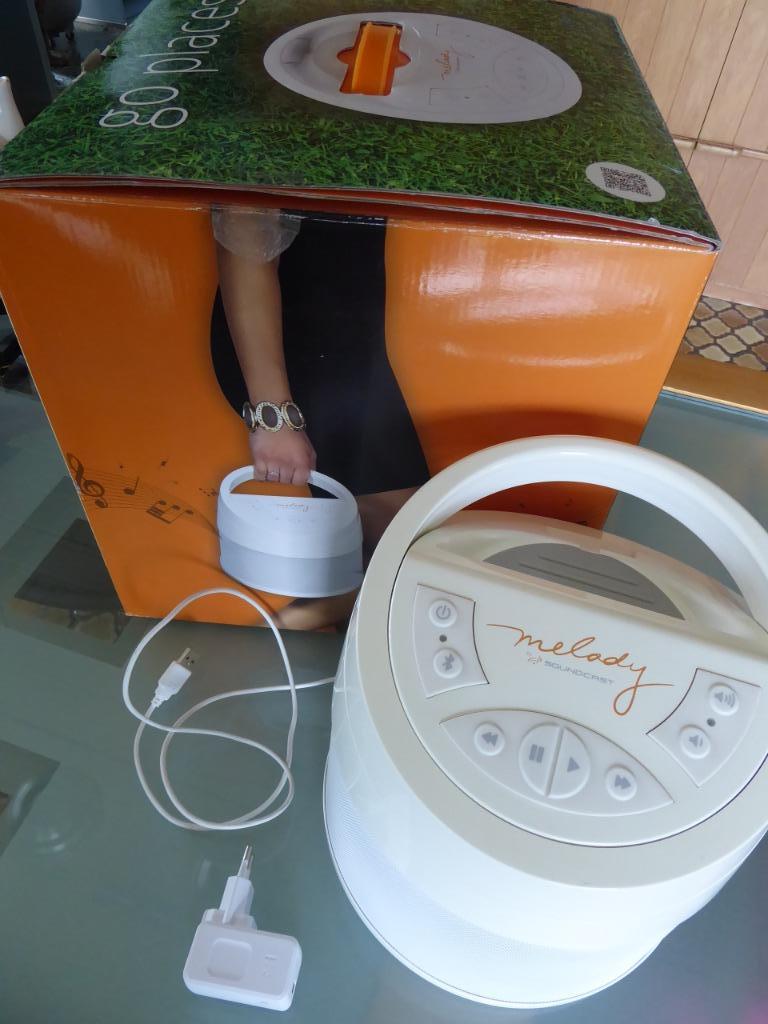 Soundcast MLD424 binnen/buiten bluetooth luidspreker, Enlèvement, Comme neuf