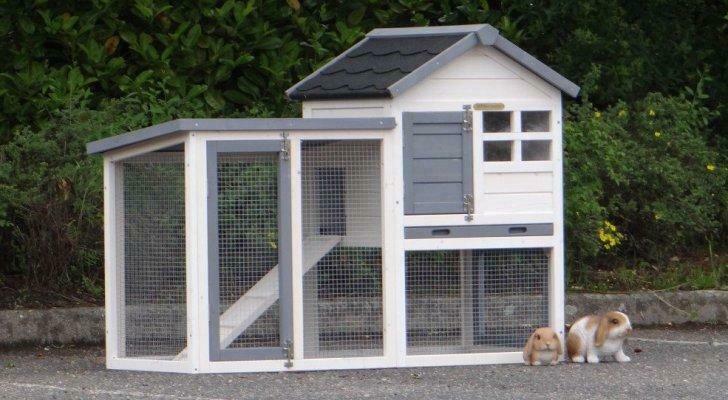Clapier XXL enclos lapin parc lapin enclos rongeur poule, Envoi, Neuf