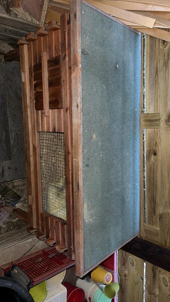 Konijnen/cavia kot, Ophalen, Zo goed als nieuw