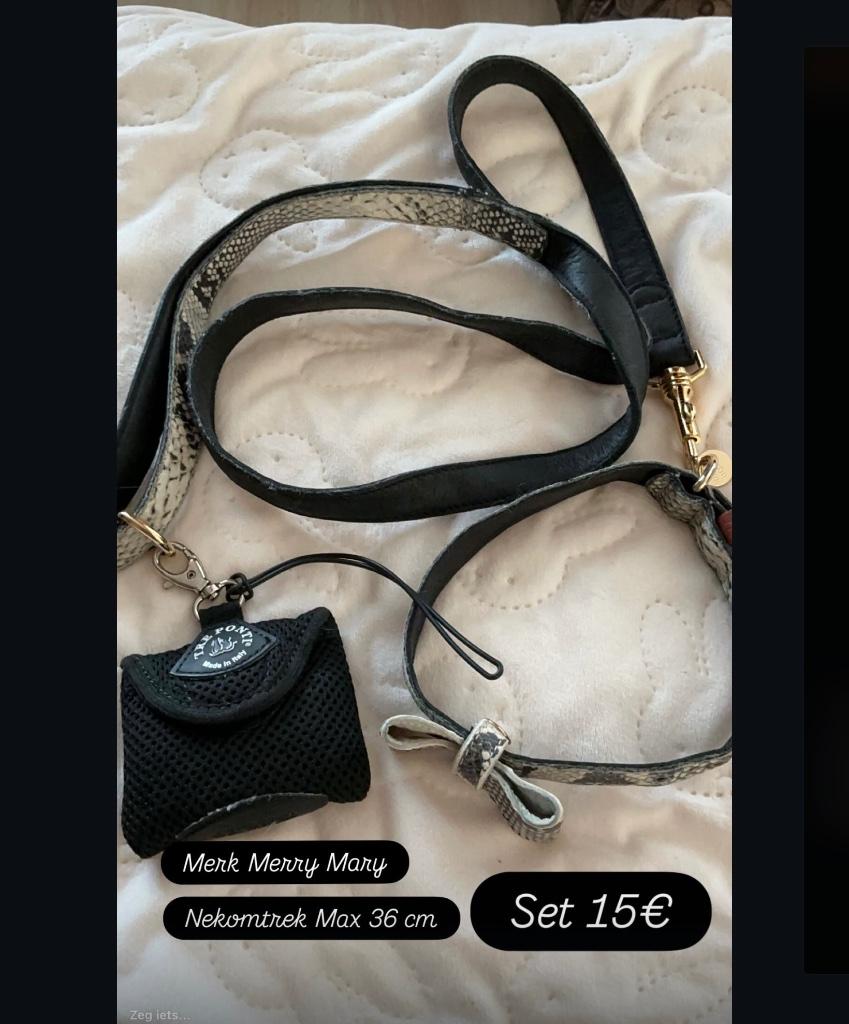 Mooi set halsband riem en poepzakje 10€, Ophalen of Verzenden, Gebruikt