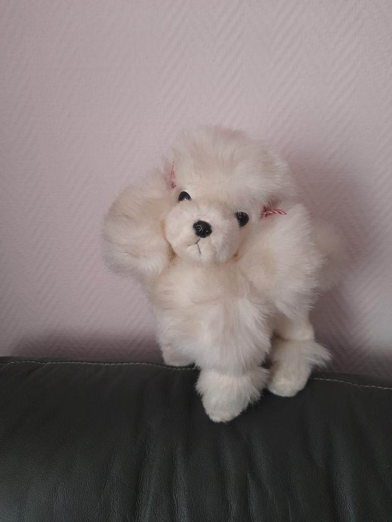 Peluche caniche royal vintage., Enlèvement ou Envoi