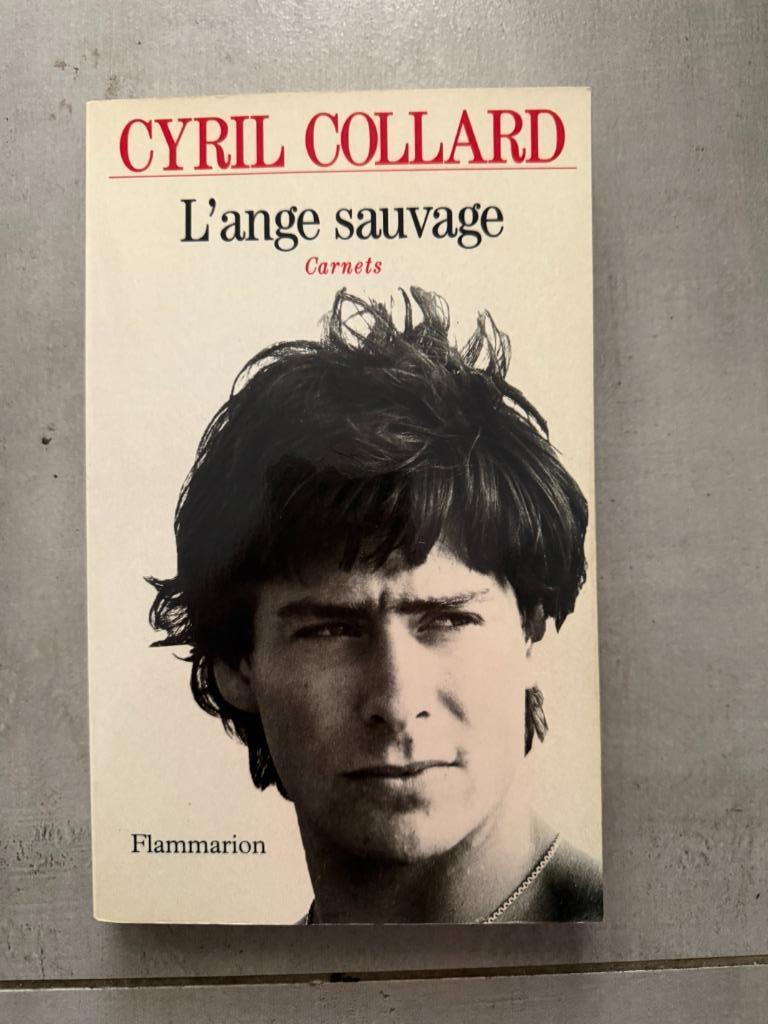 L'ange sauvage - Cyril Collard, 1993, Enlèvement, Comme neuf, Cyril Collard, Cinéma, TV et Média