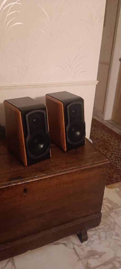 Edifier S1000 DB 120 watt, Audio, Tv en Foto, Luidsprekerboxen, Ophalen
