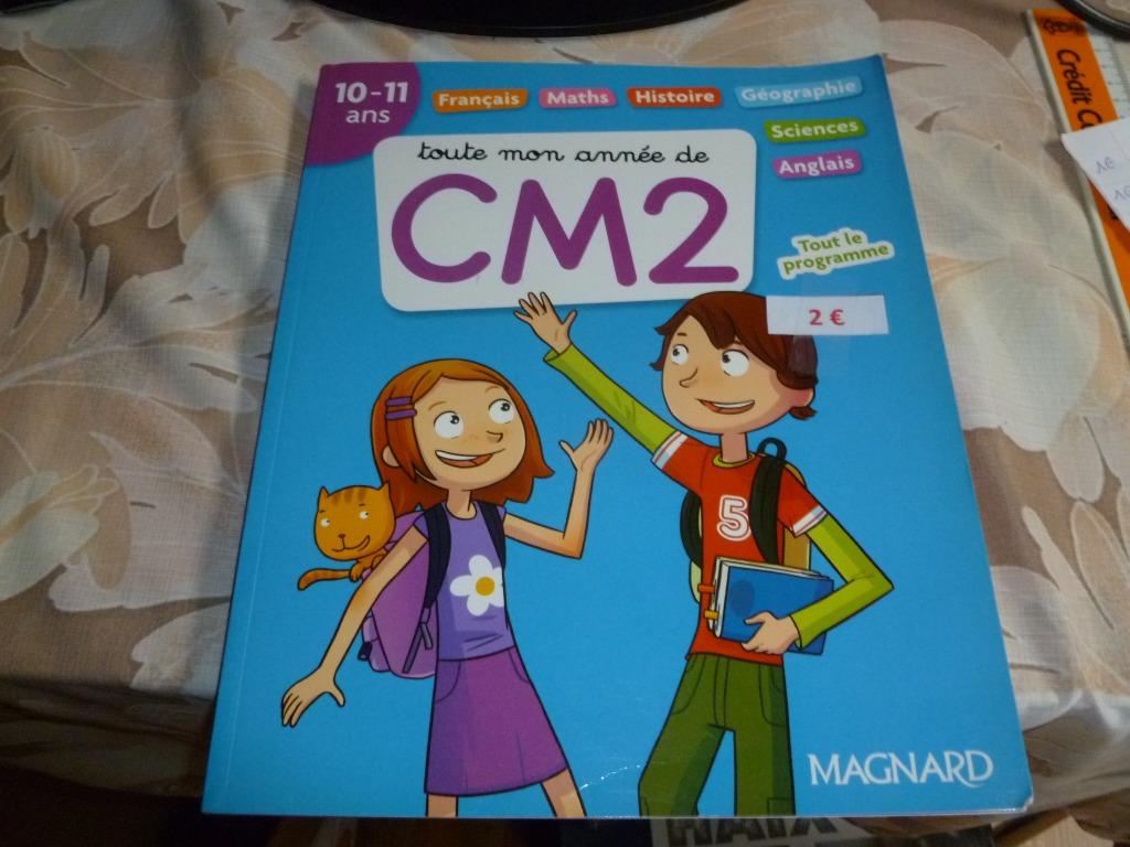Livre d'exercices toute mon année CM2 10-11 ans, Enlèvement ou Envoi, Comme neuf, Primaire, Magnard