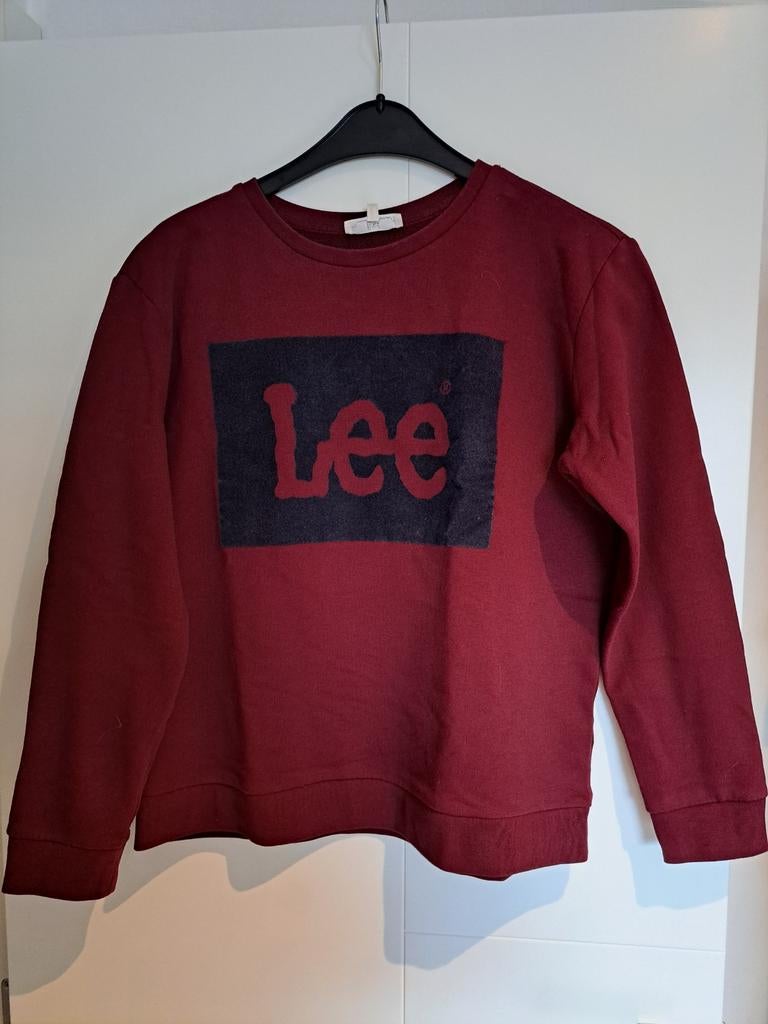À vendre : pull Bordeau pour femme LEE., Enlèvement ou Envoi, Taille 42/44 (L)