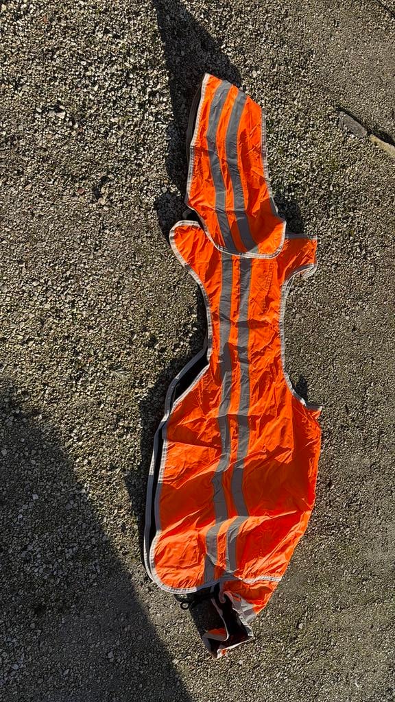 Wandeldeken fluo, Dieren en Toebehoren, M