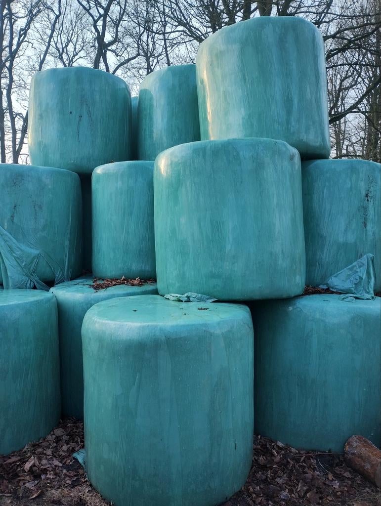 Hooi grote balen BIO, Zakelijke goederen, Landbouw | Veevoer, Ophalen