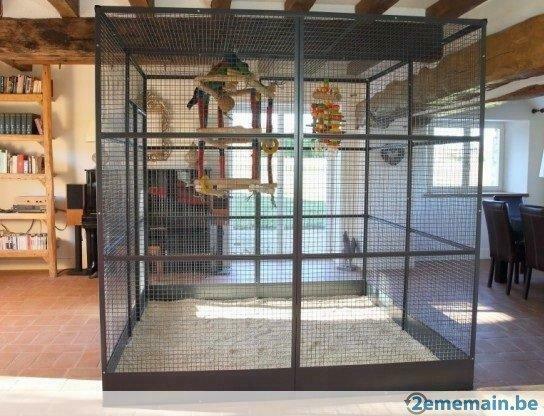 Voliere perroquet 2x2x2m cage ara amazone cacatoes XXXL, Animaux & Accessoires, Envoi, Neuf