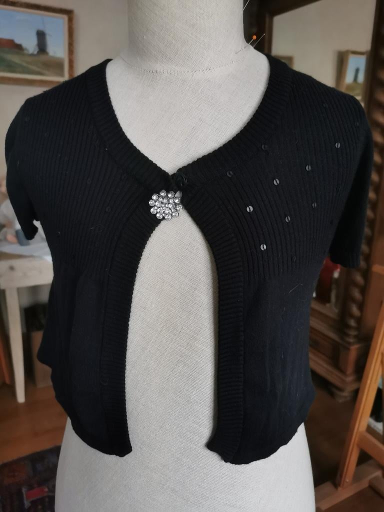 Heel mooi zwart boléro truitje, Kleding | Dames, Ophalen of Verzenden, Zo goed als nieuw, Maat 36 (S), Zwart