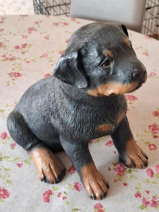 Hond (rottweiler) in polyester, Ophalen