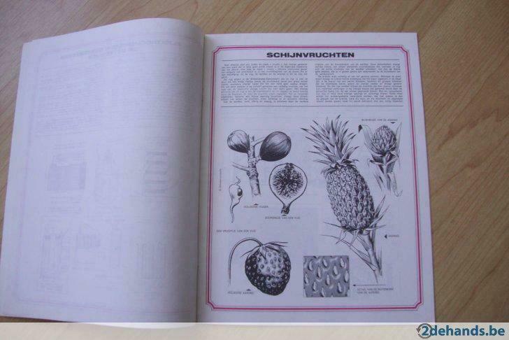 Schoolencyclopedie deel 18, Boeken, Ophalen of Verzenden, Gelezen
