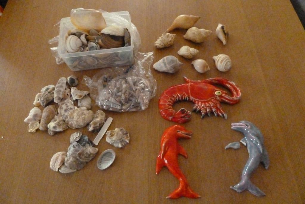 Lot Coquillages et Divers déco la Mer ou pour Bricolage, Maison & Meubles, Enlèvement ou Envoi, Utilisé