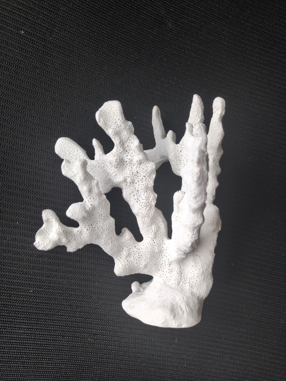 Statuette blanche - corail, Enlèvement