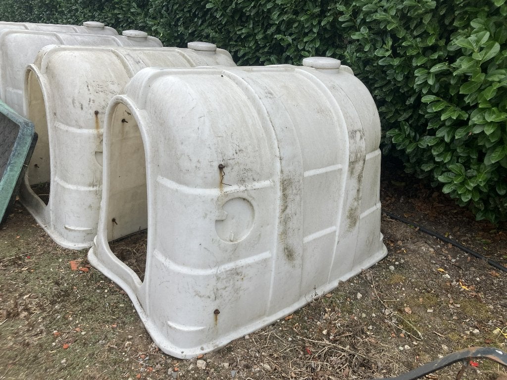 kalverhut/schuilhok voor vee, Meerdere dieren, Schaap, 3 tot 5 jaar