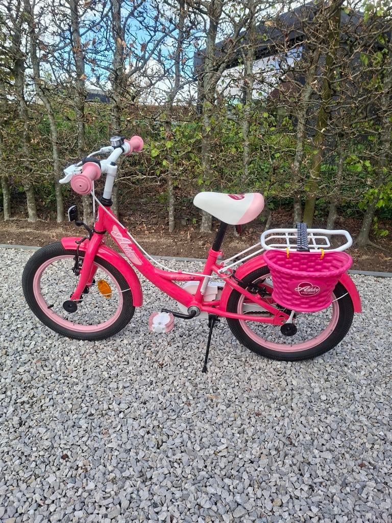 Meisjesfiets 16 inch, Fietsen en Brommers, Ophalen