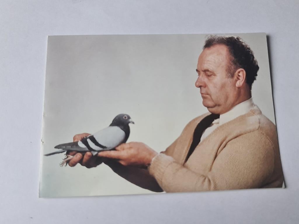 Duivenmelker Coolsaet Lucien, Ophalen of Verzenden