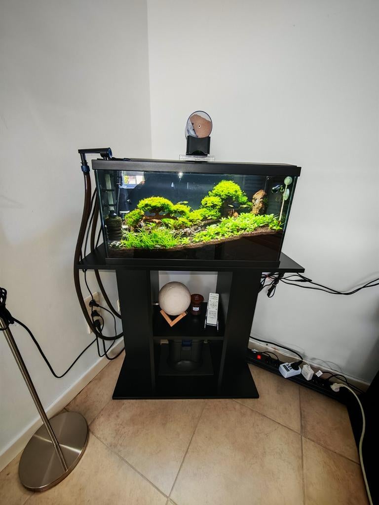 Compleet aquarium 60 liter aquascaping te koop — klaar voor, Dieren en Toebehoren, Vissen | Aquaria en Toebehoren, Ophalen, Verwarming
