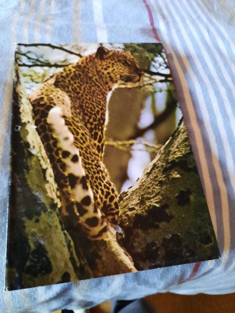 mooi dik boek zoo Oost - Africa, Ophalen of Verzenden