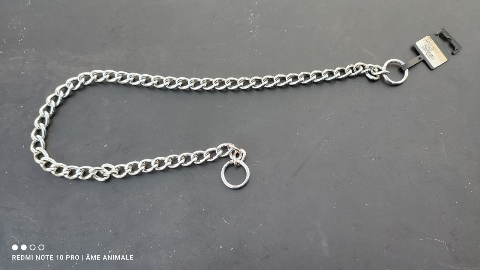 collier en chaîne pour chien, Autres marques, Enlèvement, Comme neuf, Collier