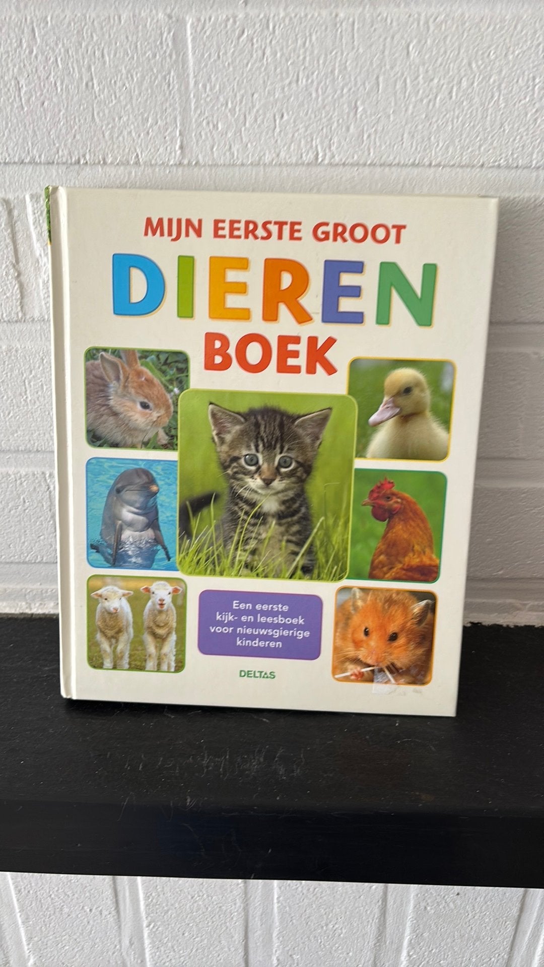 Mijn Eerste Groot Dierenboek - Deltas (Hardcover) | Boek, Boeken, Dieren en Huisdieren, Ophalen of Verzenden, Gelezen, Overige diersoorten