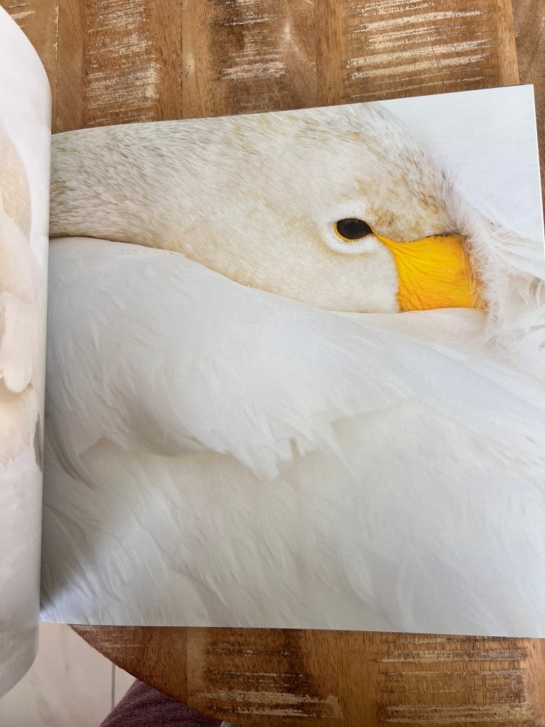 Witte Wereld - Jan Vermeer, Ophalen of Verzenden, Zo goed als nieuw, Natuur algemeen, Jan Vermeer