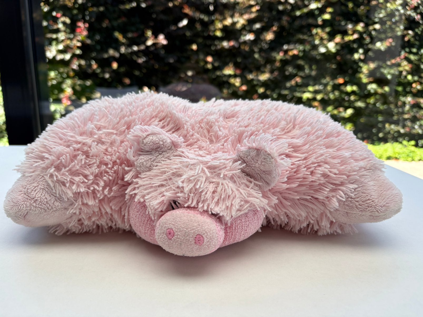2-in-1 Knuffel & Kussen Varkentje, Kinderen en Baby's, Speelgoed | Knuffels en Pluche, Gebruikt, Overige typen, Overige karakters