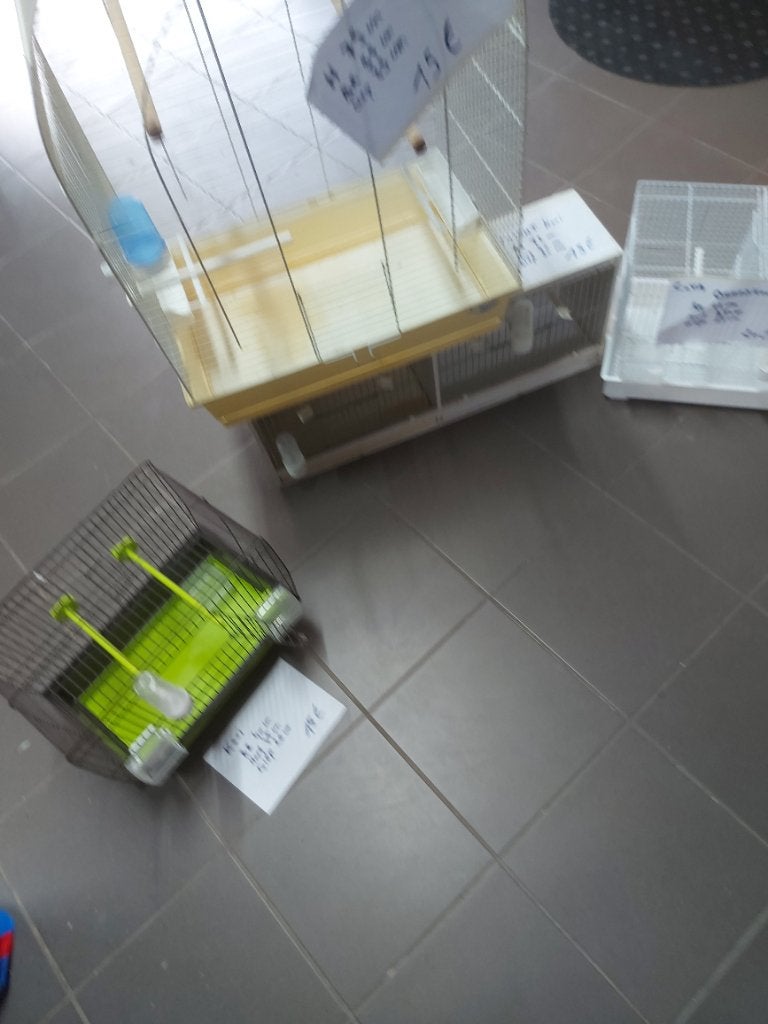 Kooien, Ophalen, Zo goed als nieuw, Metaal, Vogelkooi