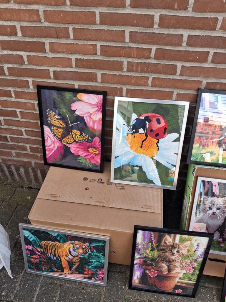 Diamant paintings, Hobby & Loisirs créatifs, Enlèvement