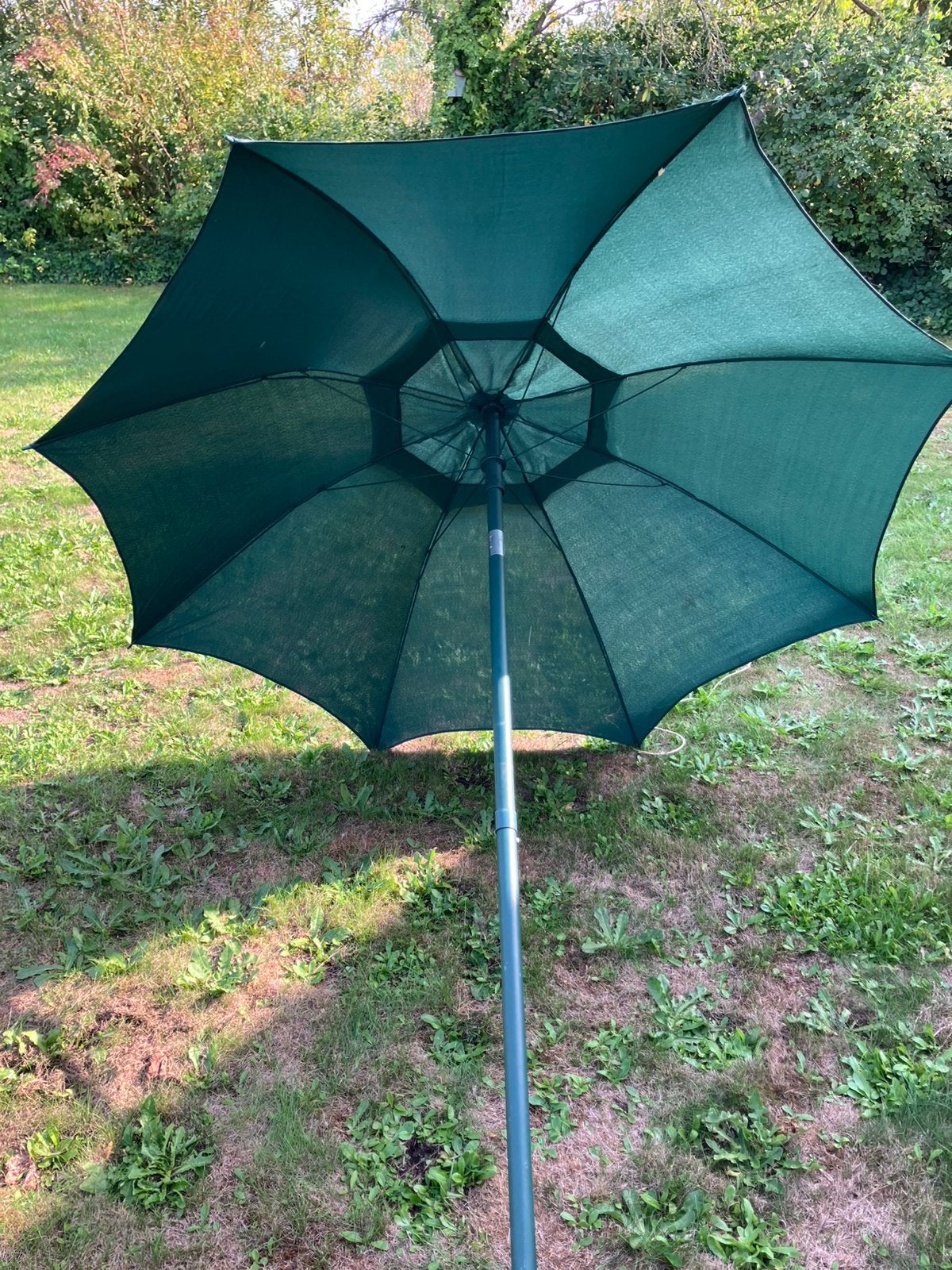 Mooie groene parasol