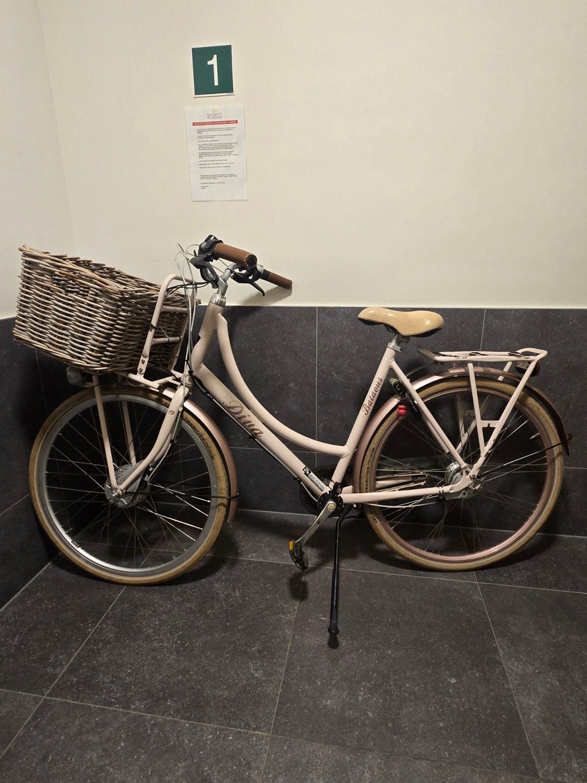 Batavus Elektrische damesfiets met knop (Scooter), Ophalen