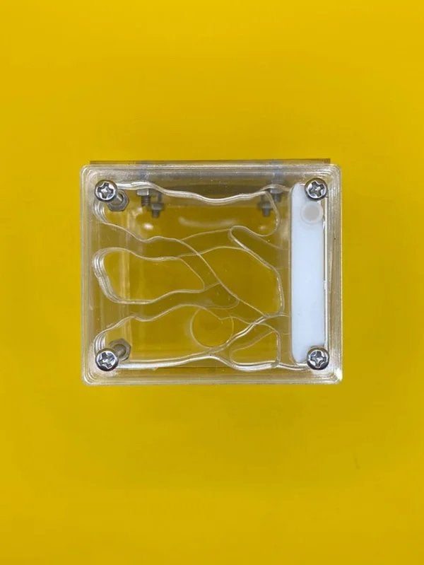 Klein acryl nest mieren, Dieren en Toebehoren, Mieren