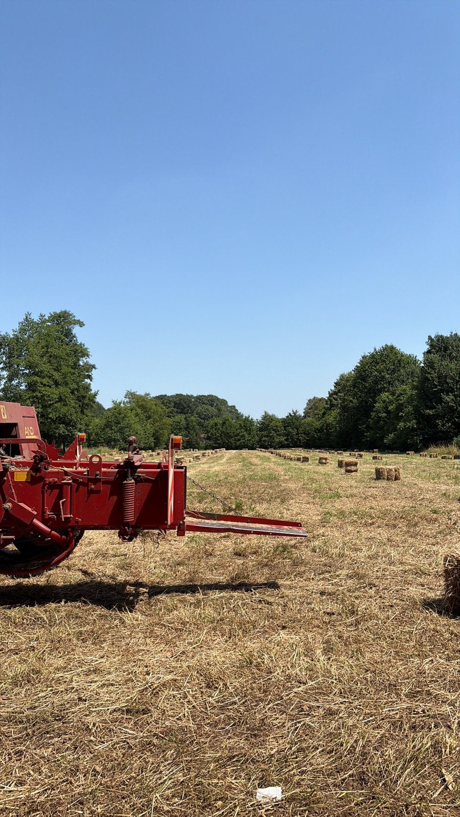 Kleine pakken hooi eerste snee 2026, Dieren en Toebehoren, Ophalen of Verzenden, Vee