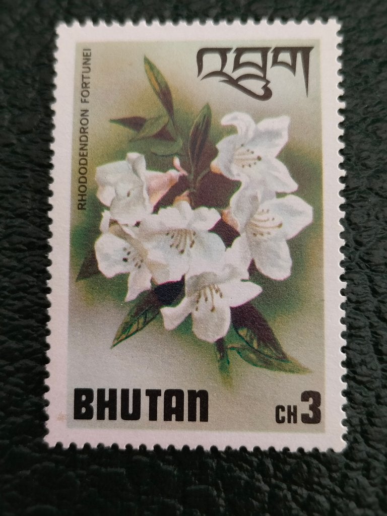 Bhoutan 1976 - fleurs, rhododendron **, Envoi, Non oblitéré, Asie du Sud
