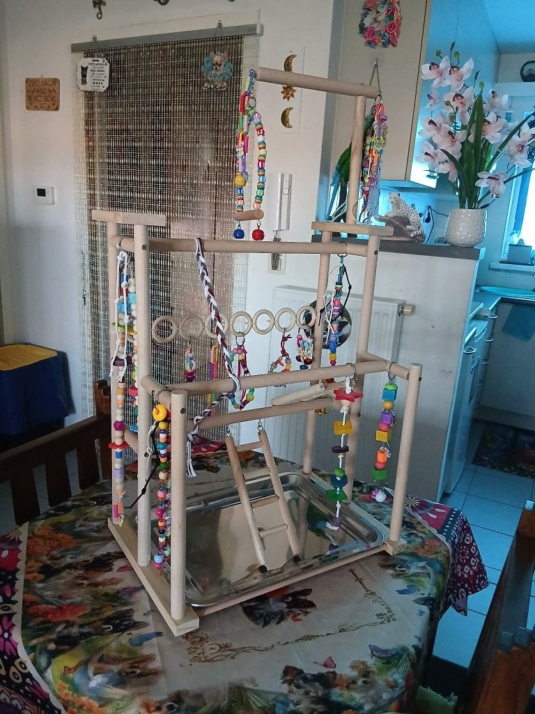 klein standaard voor kleine papegaaien, Animaux & Accessoires