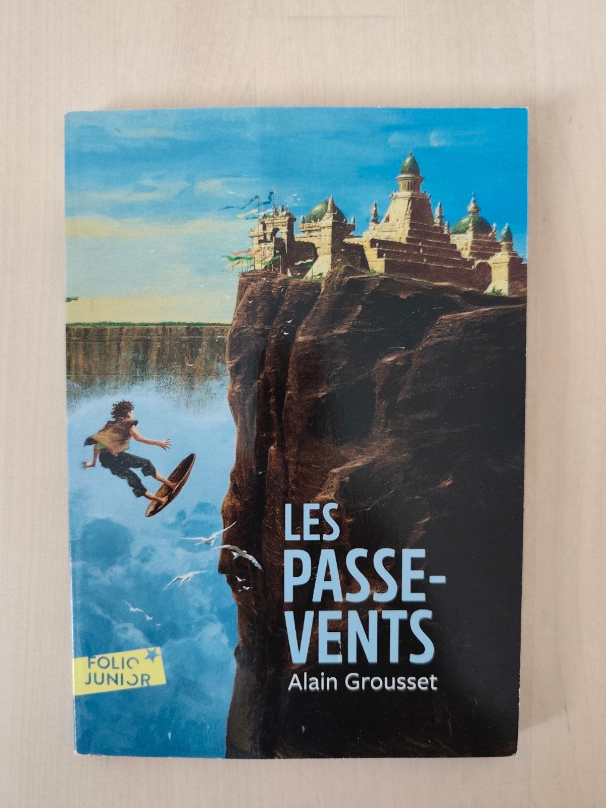 Les passe-vents - Livre, Enlèvement, Neuf