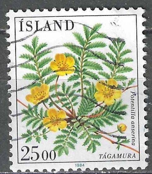 Ijsland 1984 - Yvert 566 - Zilverschoon 25 k. (ST), Postzegels en Munten, Postzegels | Europa | Scandinavië, Verzenden, IJsland