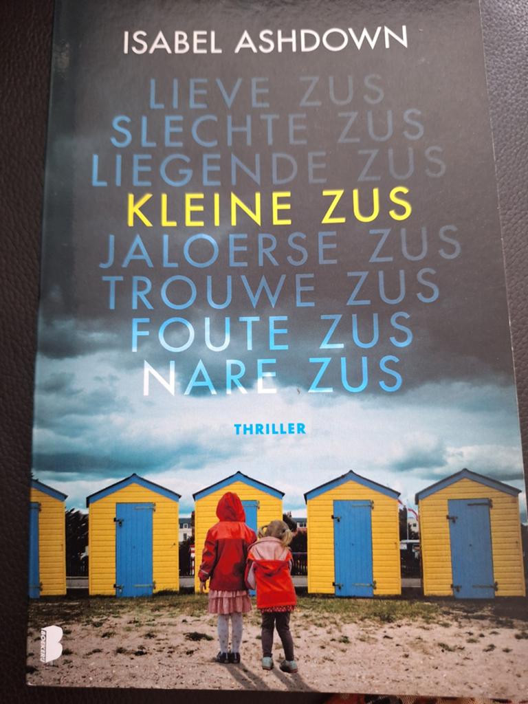 Kleine Zus , jaloerse zus , slechte zus, Boeken, Ophalen of Verzenden