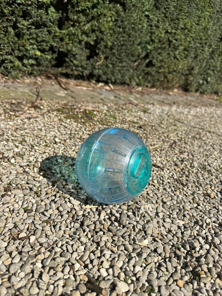 Loopbal hamster 13cm, Ophalen, Gebruikt, Loopwiel of Rad