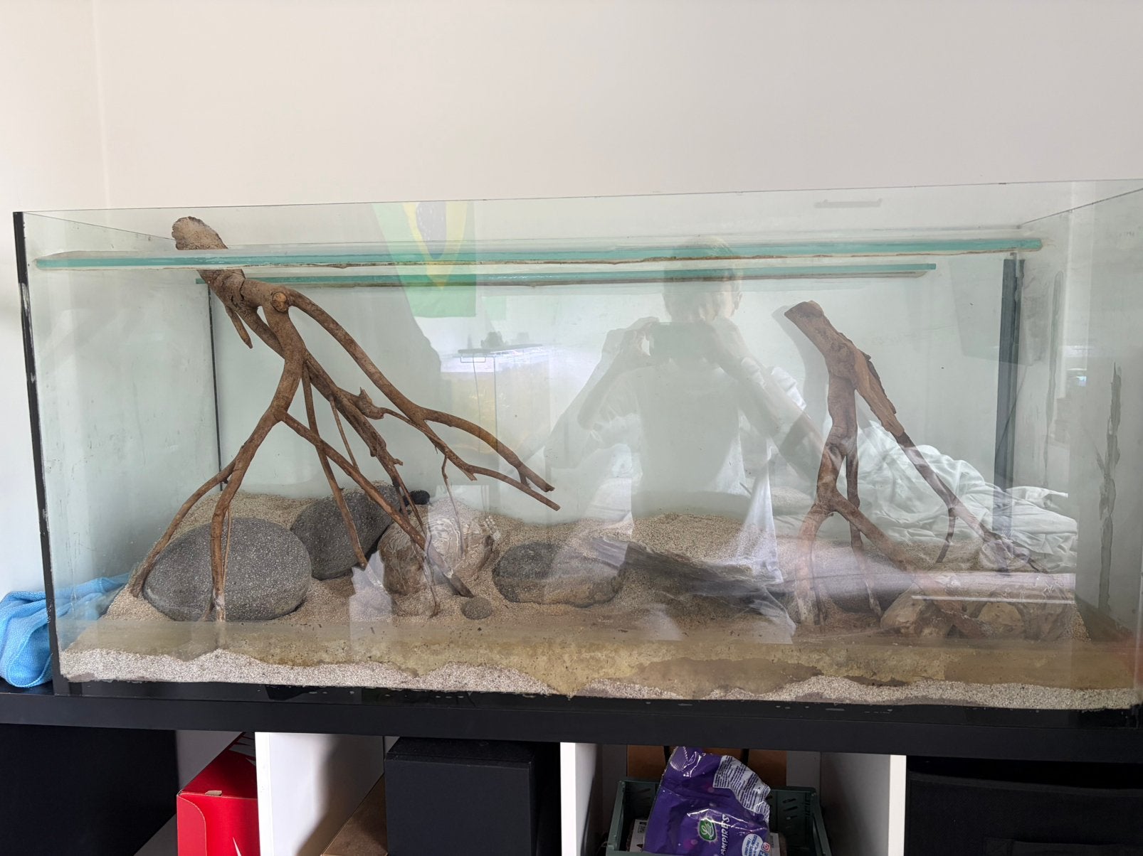Volldig aqurium, Vis, Zoetwatervis