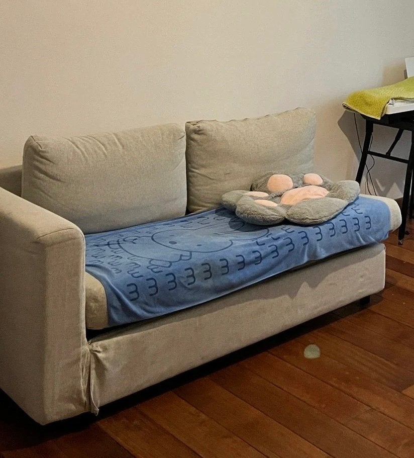 2 places canapé, 75 à 100 cm, 150 à 200 cm, Enlèvement, Utilisé